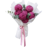 7 премиум хризантем bigoudi purple