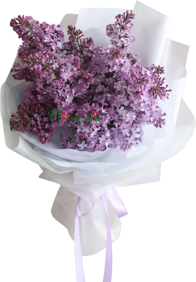 Букет ароматной сирени «Дыхание мая»