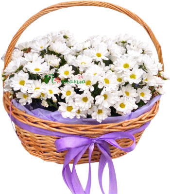 Корзина с белыми хризантемами «Добрая корзинка»